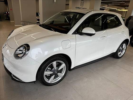 GWM ORA 03 48 KW ELÉTRICO SKIN